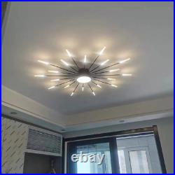 Hot Selling Dimming Living Room Lamp LED Ceiling Lamp Decorative Creative Lamp