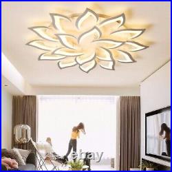 LED Ceiling Lamp Home Large Ceiling Light Bedroom Ceiling Lighting Pendant Light