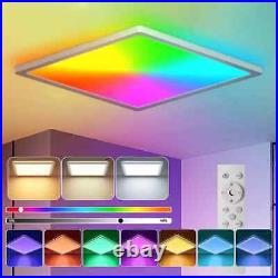 RGB LED Ceiling Light Smart Dimmable WiFi Google Alexa APP Home Modern Lamp 5050