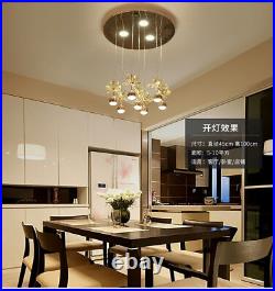 Yc. Modern LED ceiling pendant lamp bedroom dining room crystal ceiling light